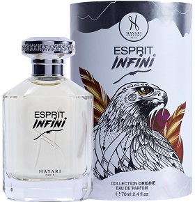 Esprit Infini